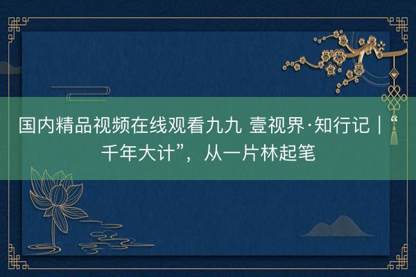 国内精品视频在线观看九九 壹视界·知行记｜“千年大计”，从一片林起笔