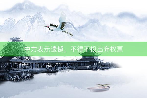 中方表示遗憾，不得不投出弃权票