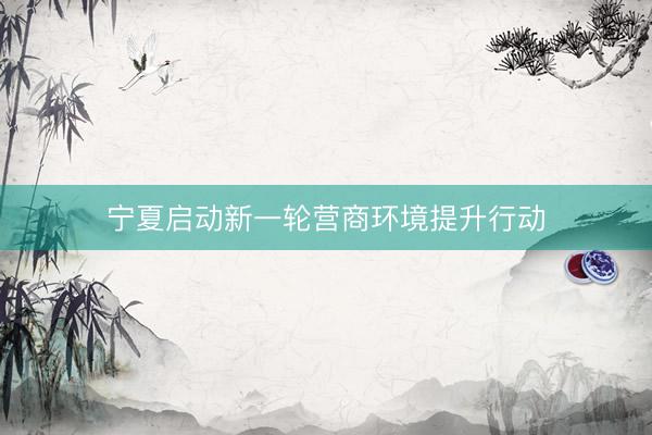 宁夏启动新一轮营商环境提升行动
