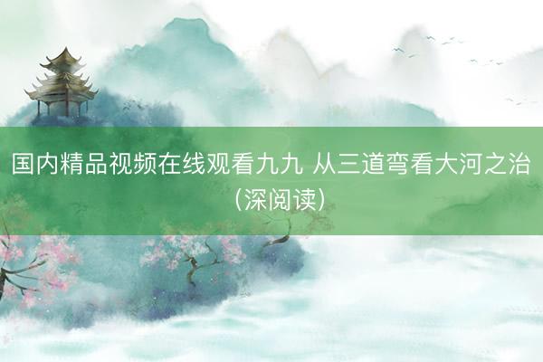 国内精品视频在线观看九九 从三道弯看大河之治（深阅读）