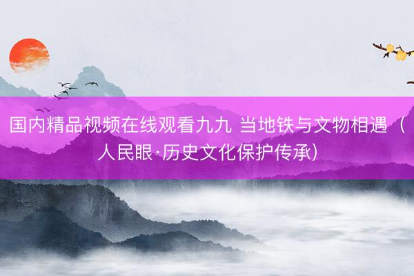 国内精品视频在线观看九九 当地铁与文物相遇（人民眼·历史文化保护传承）