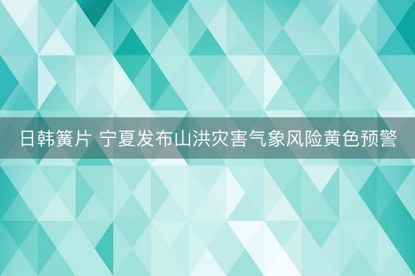 日韩簧片 宁夏发布山洪灾害气象风险黄色预警