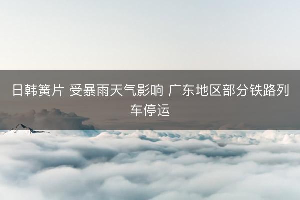 日韩簧片 受暴雨天气影响 广东地区部分铁路列车停运