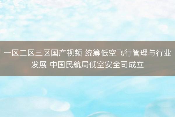 一区二区三区国产视频 统筹低空飞行管理与行业发展 中国民航局低空安全司成立