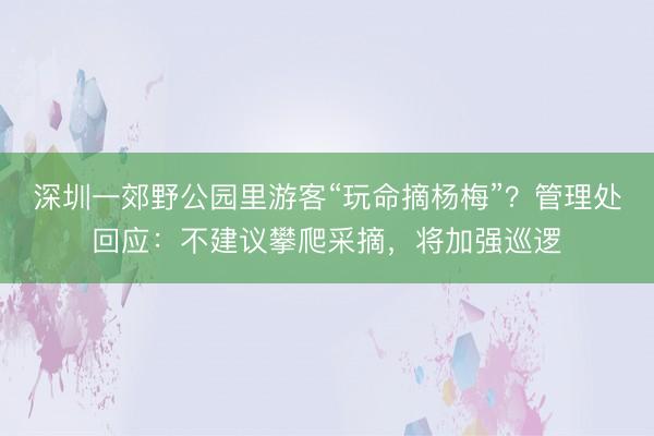 深圳一郊野公园里游客“玩命摘杨梅”？管理处回应：不建议攀爬采摘，将加强巡逻