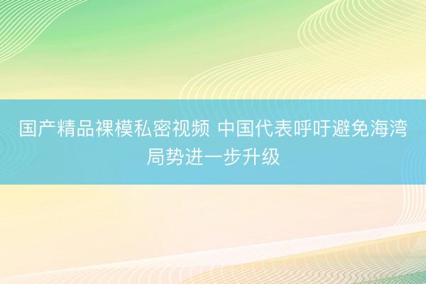 国产精品裸模私密视频 中国代表呼吁避免海湾局势进一步升级