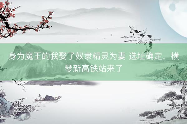 身为魔王的我娶了奴隶精灵为妻 选址确定,横琴新高铁站来了