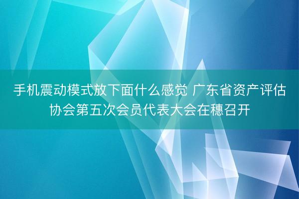手机震动模式放下面什么感觉 广东省资产评估协会第五次会员代表大会在穗召开