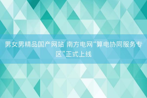 男女男精品国产网站 南方电网“算电协同服务专区”正式上线