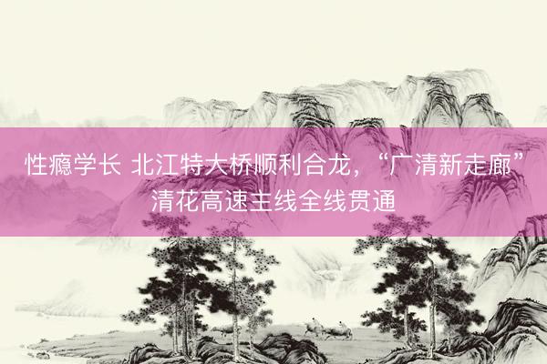 性瘾学长 北江特大桥顺利合龙，“广清新走廊”清花高速主线全线贯通