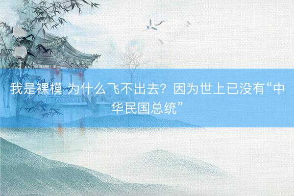 我是裸模 为什么飞不出去?因为世上已没有“中华民国总统”