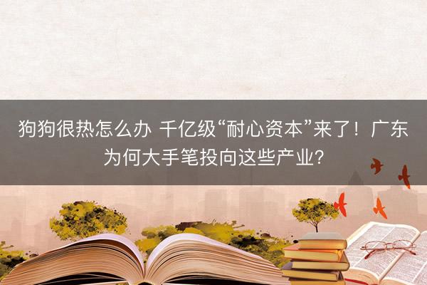 狗狗很热怎么办 千亿级“耐心资本”来了！广东为何大手笔投向这些产业？