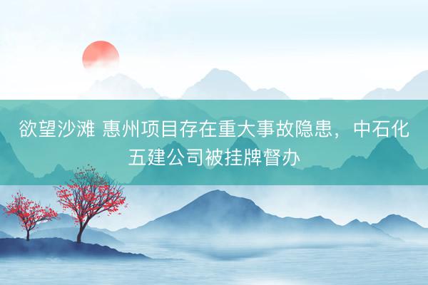 欲望沙滩 惠州项目存在重大事故隐患，中石化五建公司被挂牌督办