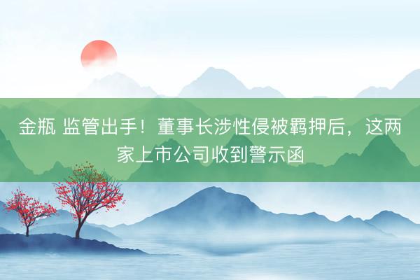 金瓶 监管出手！董事长涉性侵被羁押后，这两家上市公司收到警示函