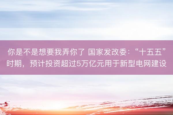 你是不是想要我弄你了 国家发改委：“十五五”时期，预计投资超过5万亿元用于新型电网建设