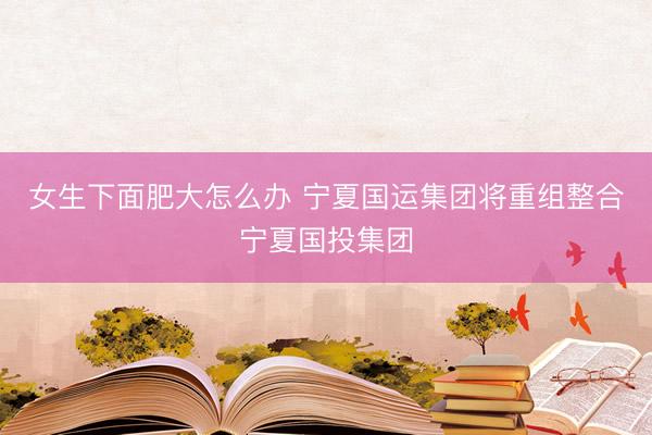女生下面肥大怎么办 宁夏国运集团将重组整合宁夏国投集团