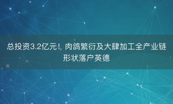 总投资3.2亿元！肉鸽繁衍及大肆加工全产业链形状落户英德