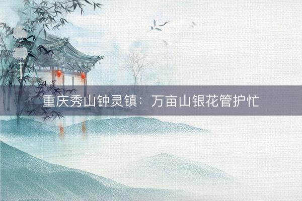 重庆秀山钟灵镇：万亩山银花管护忙
