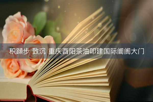 积蹞步 致沉 重庆酉阳茶油叩建国际阛阓大门
