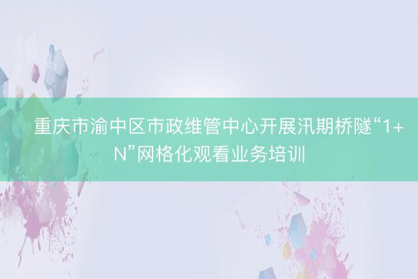 ‌重庆市渝中区市政维管中心开展汛期桥隧“1+N”网格化观看业务培训