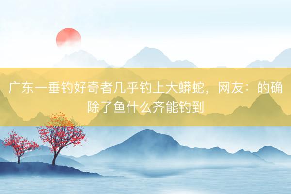 广东一垂钓好奇者几乎钓上大蟒蛇，网友：的确除了鱼什么齐能钓到