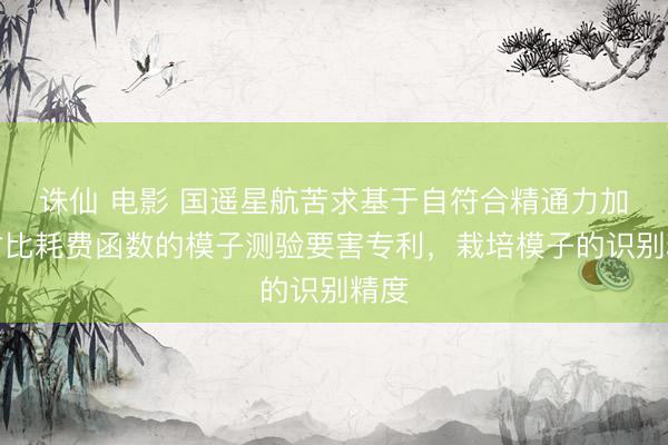 诛仙 电影 国遥星航苦求基于自符合精通力加权对比耗费函数的模子测验要害专利，栽培模子的识别精度