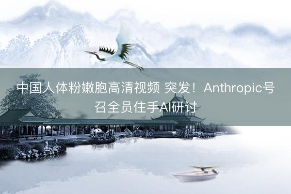 中国人体粉嫩胞高清视频 突发！Anthropic号召全员住手AI研讨