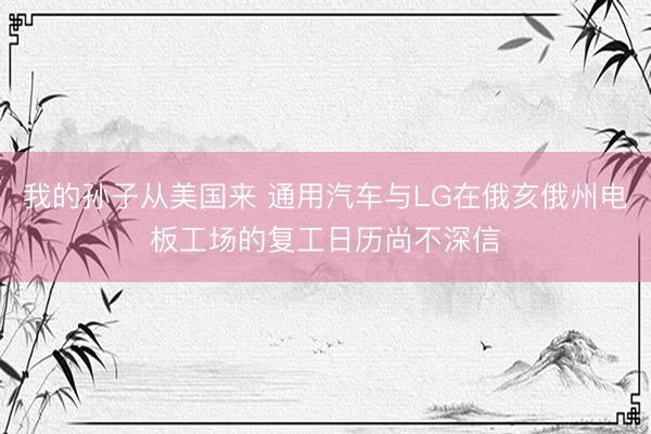 我的孙子从美国来 通用汽车与LG在俄亥俄州电板工场的复工日历尚不深信