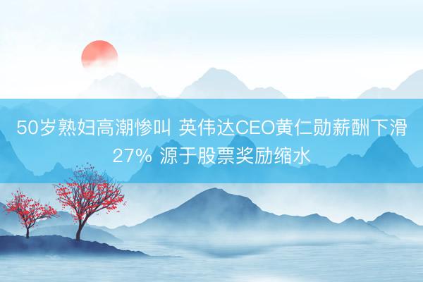 50岁熟妇高潮惨叫 英伟达CEO黄仁勋薪酬下滑27% 源于股票奖励缩水