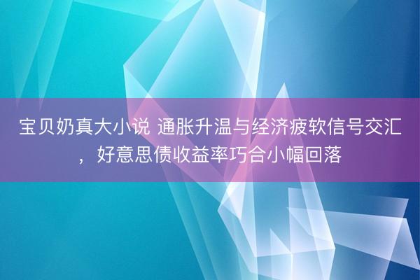 宝贝奶真大小说 通胀升温与经济疲软信号交汇，好意思债收益率巧合小幅回落