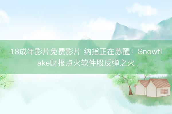 18成年影片免费影片 纳指正在苏醒：Snowflake财报点火软件股反弹之火