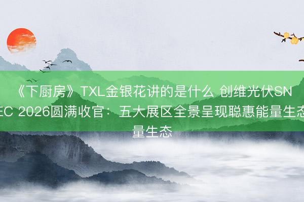 《下厨房》TXL金银花讲的是什么 创维光伏SNEC 2026圆满收官：五大展区全景呈现聪惠能量生态