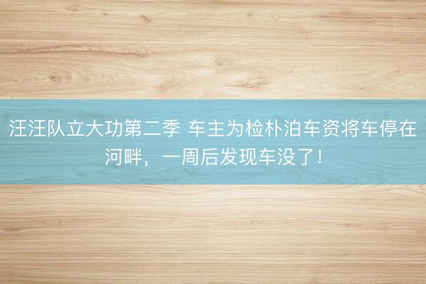 汪汪队立大功第二季 车主为检朴泊车资将车停在河畔，一周后发现车没了！