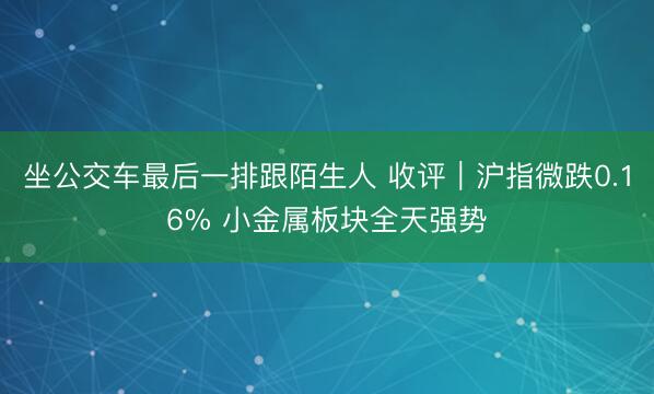 坐公交车最后一排跟陌生人 收评｜沪指微跌0.16% 小金属板块全天强势