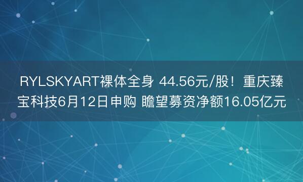 RYLSKYART裸体全身 44.56元/股！重庆臻宝科技6月12日申购 瞻望募资净额16.05亿元
