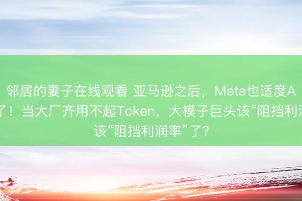 邻居的妻子在线观看 亚马逊之后，Meta也适度AI使用量了！当大厂齐用不起Token，大模子巨头该“阻挡利润率”了？