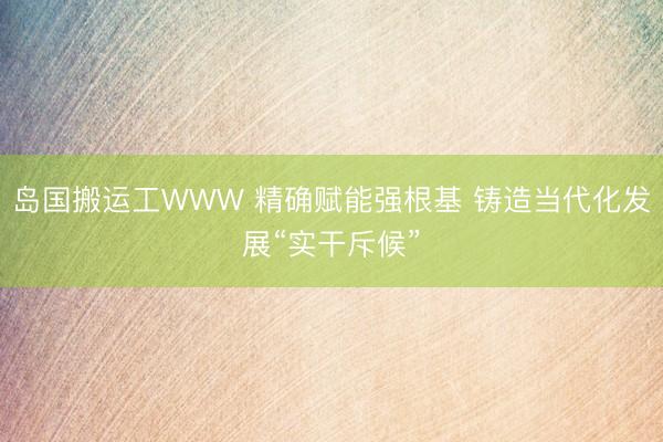 岛国搬运工WWW 精确赋能强根基 铸造当代化发展“实干斥候”