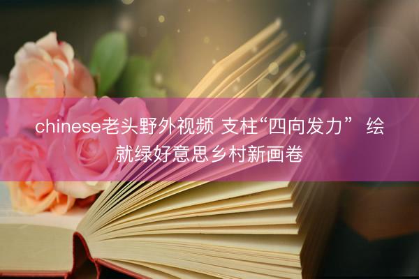 chinese老头野外视频 支柱“四向发力” 绘就绿好意思乡村新画卷