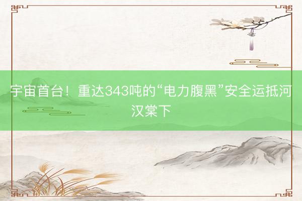 宇宙首台！重达343吨的“电力腹黑”安全运抵河汉棠下