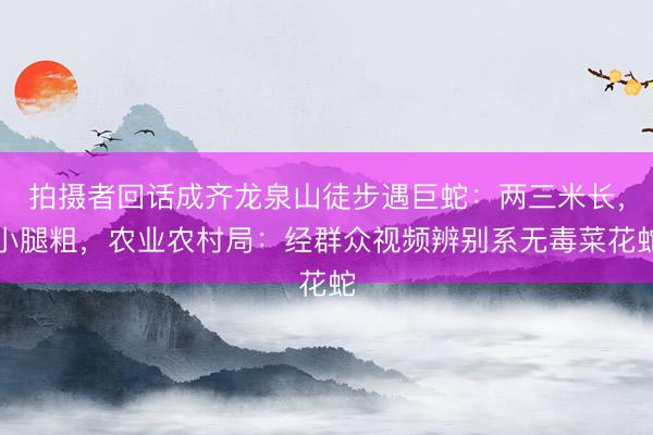 拍摄者回话成齐龙泉山徒步遇巨蛇：两三米长，小腿粗，农业农村局：经群众视频辨别系无毒菜花蛇