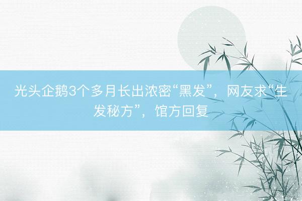 光头企鹅3个多月长出浓密“黑发”，网友求“生发秘方”，馆方回复