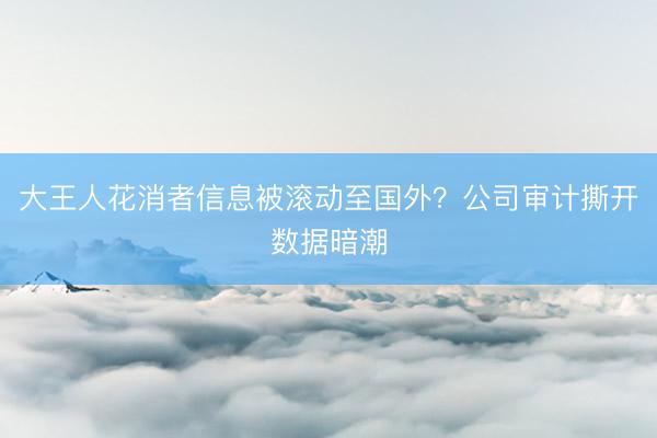大王人花消者信息被滚动至国外？公司审计撕开数据暗潮